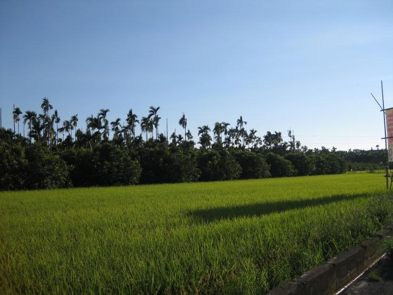 太陽將要落下。